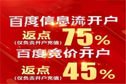 百度推广技巧分享：成功案例解析